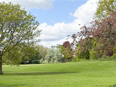 Picture 23